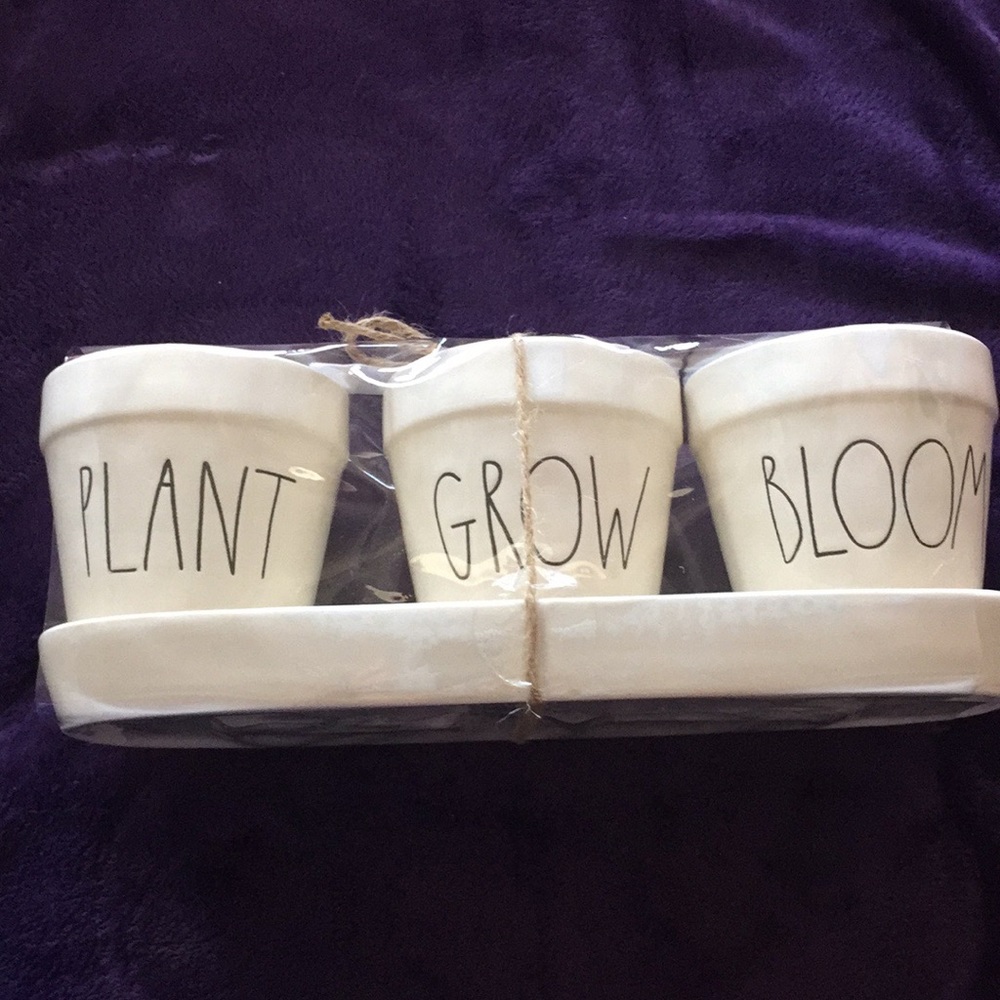 ✨NEW RAE DUNN PLANTER TRIO